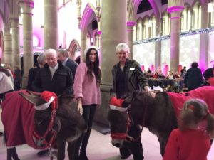 The Christmas Story with Donkeys