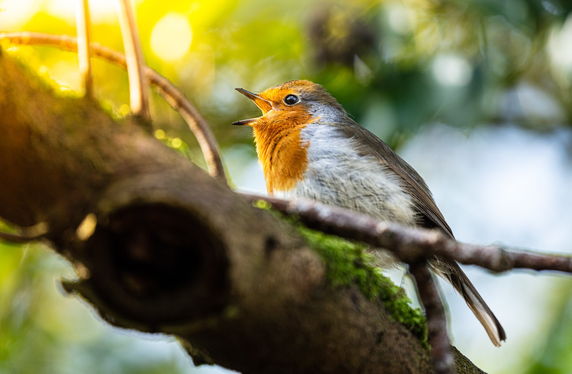 spring equinox 2026 manchester