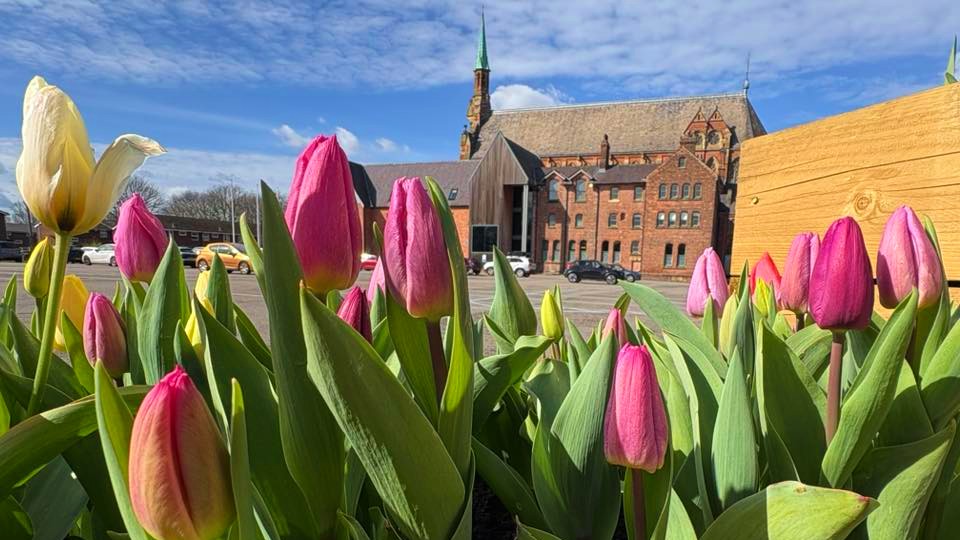 Plant sale at the Monastery Manchester